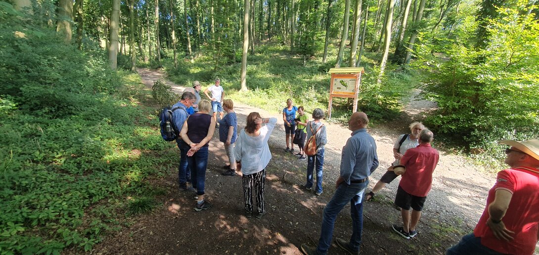 Wandergruppe im Wald
