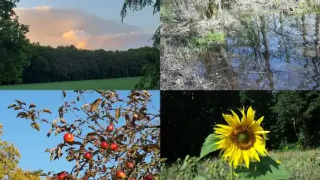 Natur Collage Steinhagen